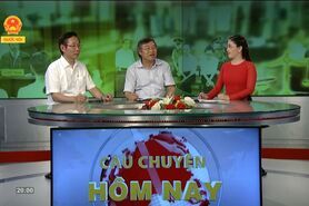 Hiệu quả của tranh tụng - Nhìn từ phiên toà xét xử vụ án Trương Hồ Phưong Nga