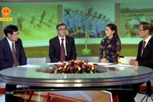 Vai trò của Luật sư trong giai đoạn xét xử