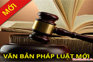 Trốn thuế, gian lận thuế GTGT sẽ bị xử lý hình sự