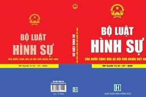 Bộ luật Hình sự 2015 chính thức có hiệu lực từ 1-1-2018