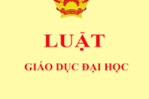 Luật giáo dục Đại học: Sửa bao nhiêu mới đủ?