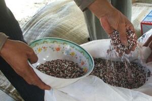 Điều tra xác minh việc sản xuất, kinh doanh phân bón giả